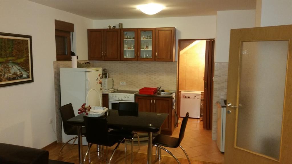 Apartments Breza コラシン 部屋 写真
